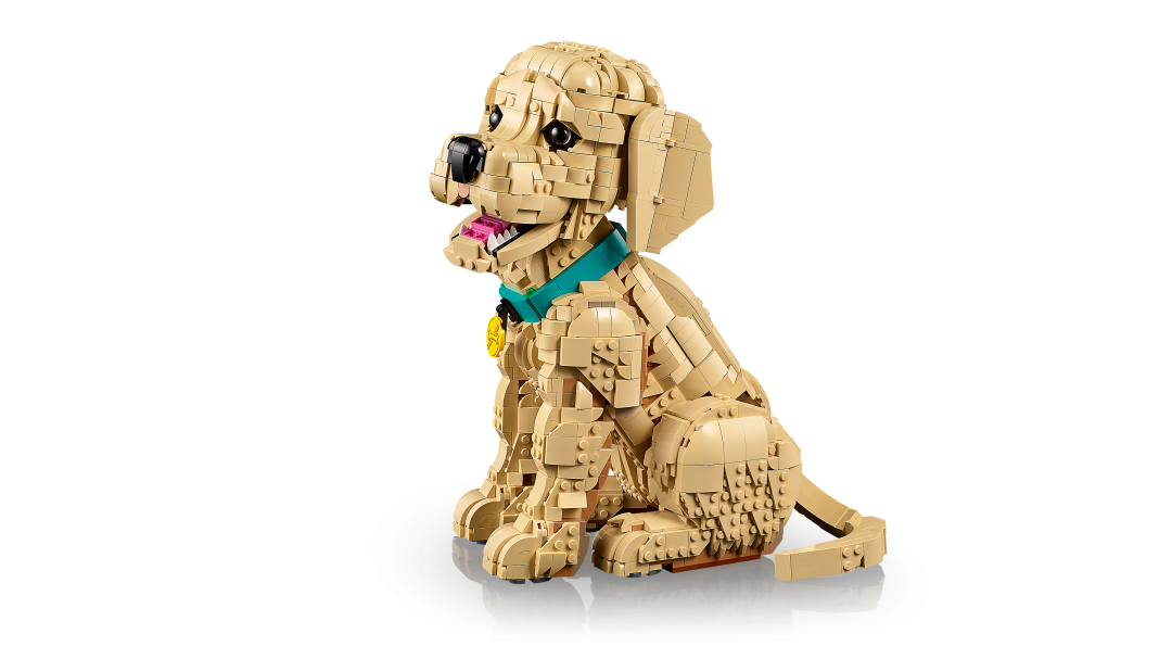 LEGO Icons 11384 Golden Retriever Puppy
