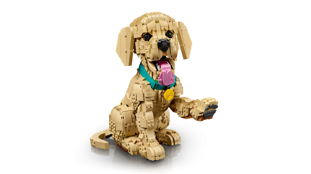 LEGO Icons 11384 Golden Retriever Puppy