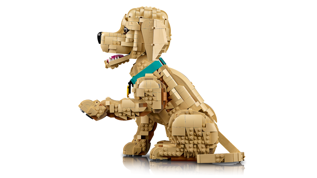 LEGO Icons 11384 Golden Retriever Puppy