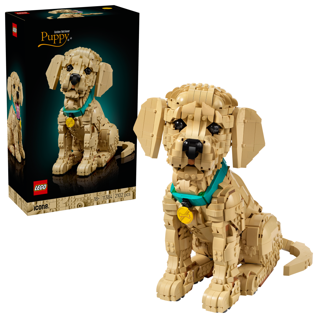 LEGO Icons 11384 Golden Retriever Puppy