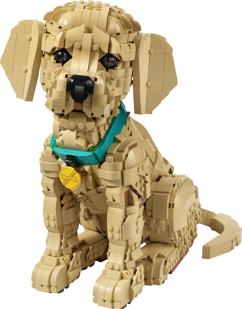 LEGO Icons 11384 Golden Retriever Puppy