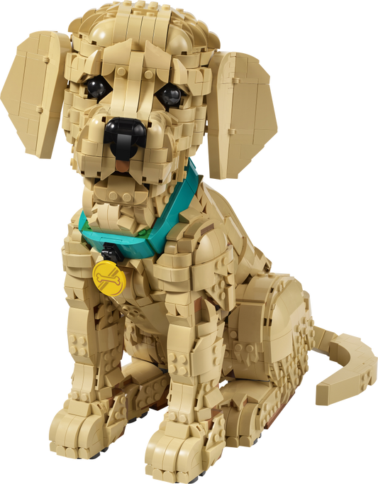 LEGO Icons 11384 Golden Retriever Puppy