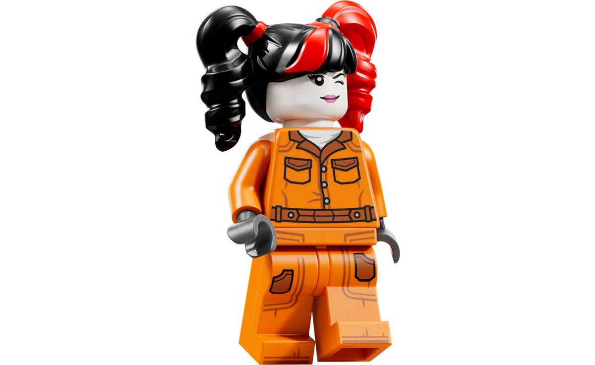 LEGO DC 76300 Arkham Asylum