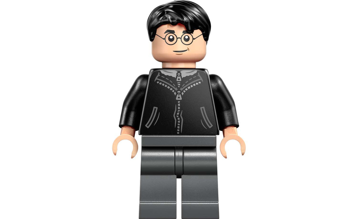 LEGO Harry Potter 76457 Hogsmeade Village – Collectors' Edition