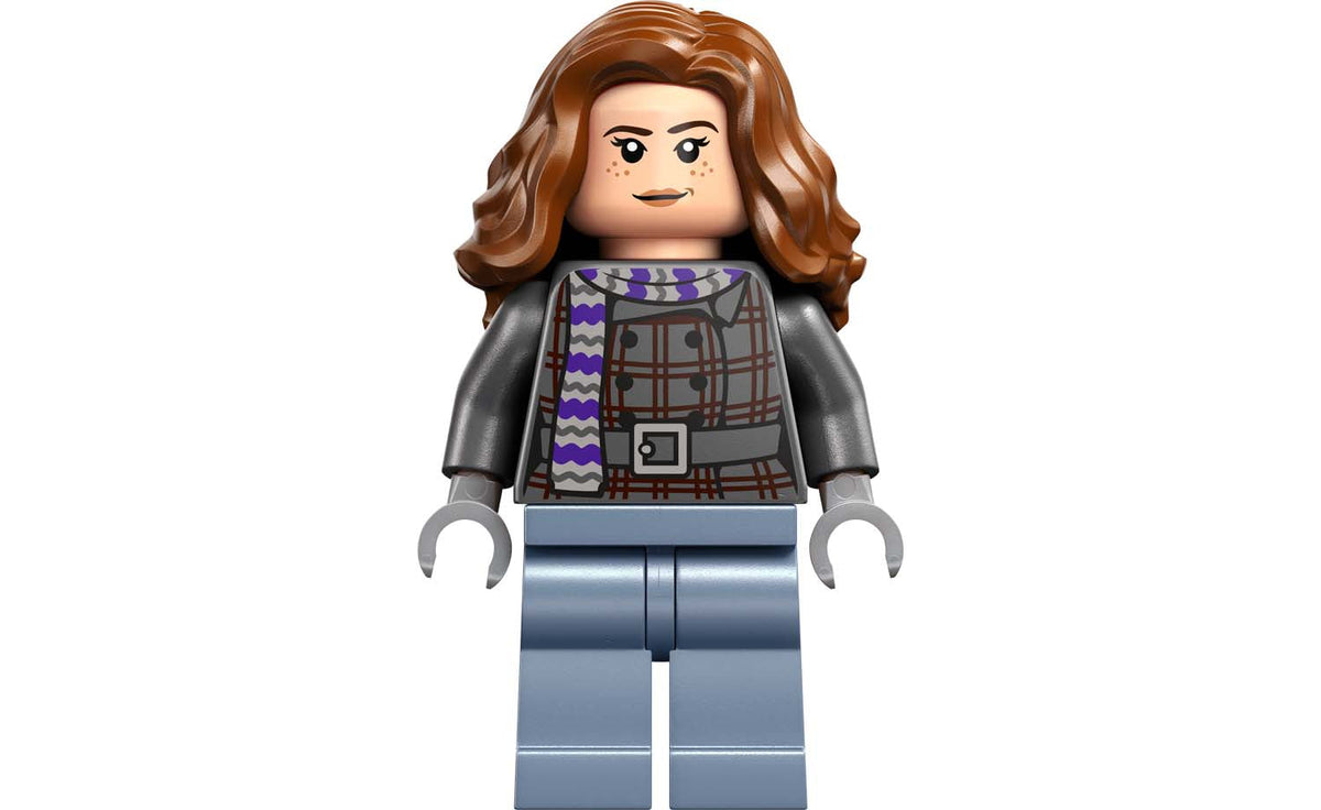 LEGO Harry Potter 76457 Hogsmeade Village – Collectors' Edition